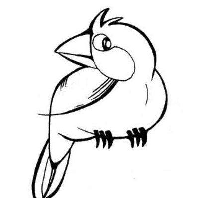 小鸚鵡兒童<a href=http://www.inspiredelm.com/jianbihua/ target=_blank class=infotextkey>簡筆畫</a>