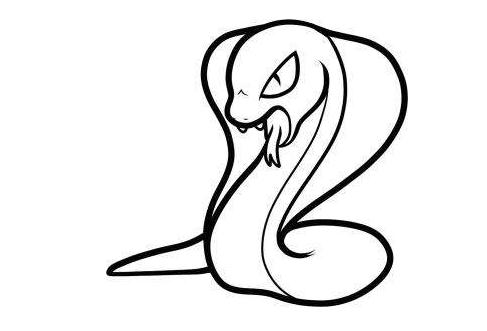 眼鏡蛇動(dòng)物簡(jiǎn)筆