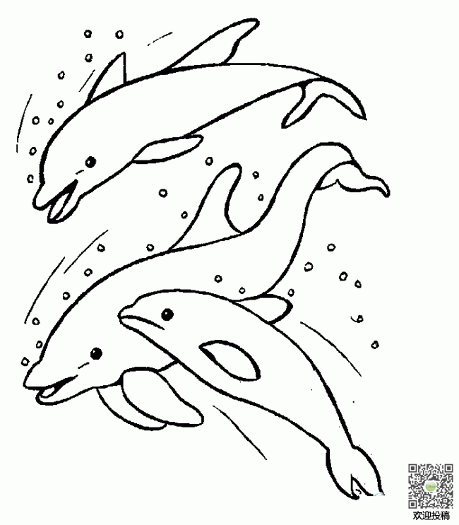 嬉鬧的海豚簡(jiǎn)筆畫