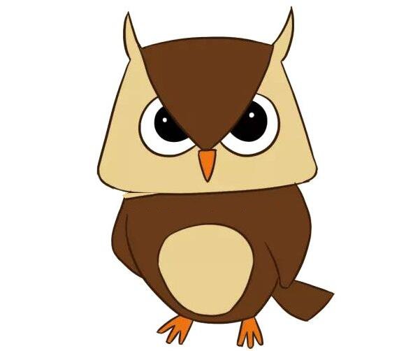 貓頭鷹怎么畫(huà)才好看，貓頭鷹簡(jiǎn)筆畫(huà)帶顏色