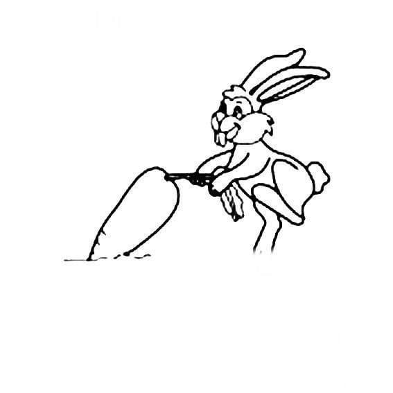 兔子拔蘿卜<a href=http://www.inspiredelm.com/jianbihua/ target=_blank class=infotextkey>簡筆畫</a>圖片_兔子兒童繪畫作品圖集