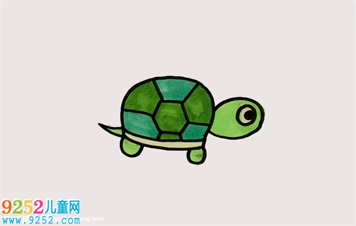 簡單的烏龜怎么畫，簡單又可愛的小烏龜怎么畫