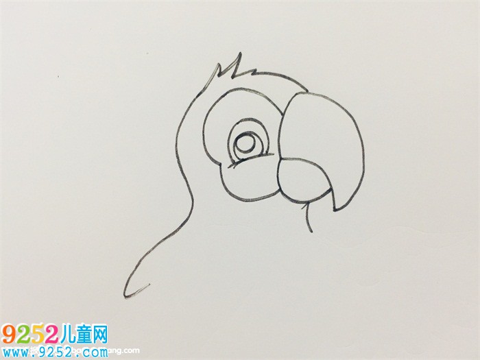 如何畫(huà)鸚鵡<a href=http://www.inspiredelm.com/jianbihua/ target=_blank class=infotextkey>簡(jiǎn)筆畫(huà)</a>步驟