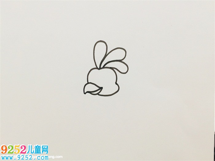 畫(huà)孔雀怎么畫(huà)最漂亮的