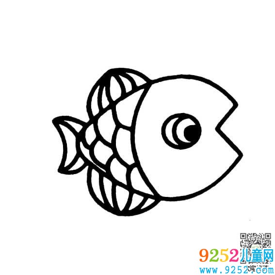 鯉魚動物簡筆