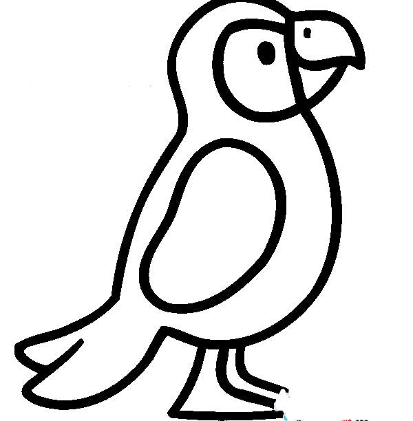 小鸚鵡兒童<a href=http://www.inspiredelm.com/jianbihua/ target=_blank class=infotextkey>簡筆畫</a>