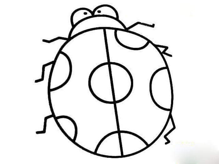 幼兒動物簡筆畫大全，七星瓢蟲簡筆畫