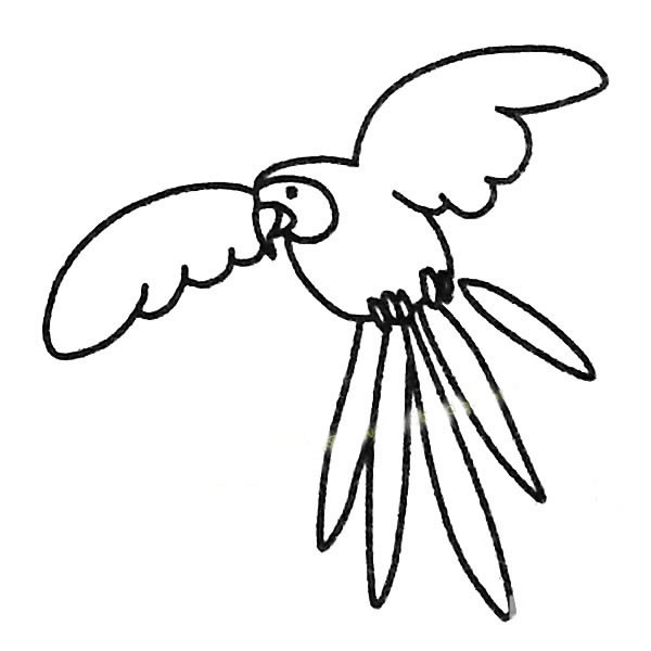 鸚鵡兒童簡筆