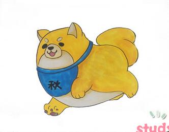 秋田犬怎么畫簡筆畫