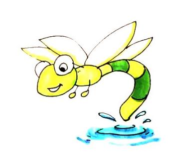 蜻蜓點(diǎn)水簡(jiǎn)筆步驟