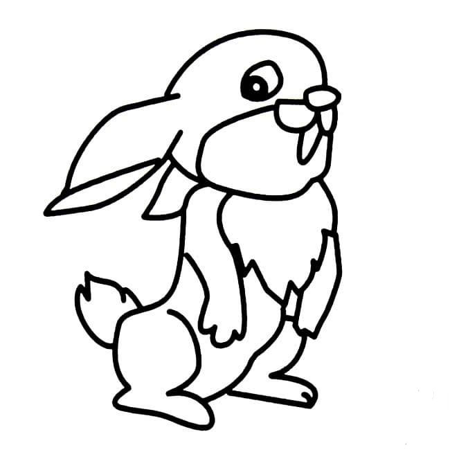 奔跑的小兔子<a href=http://www.inspiredelm.com/jianbihua/ target=_blank class=infotextkey>簡(jiǎn)筆畫(huà)</a>圖片_兔子兒童繪畫(huà)作品圖集