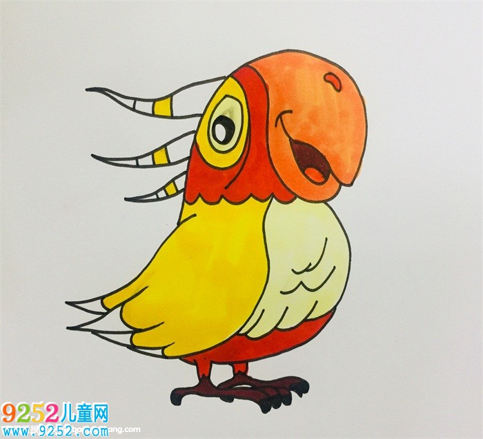 鸚鵡的畫法步驟