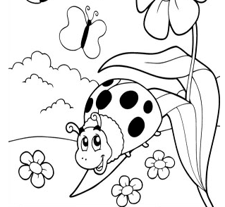 七星瓢蟲簡(jiǎn)筆