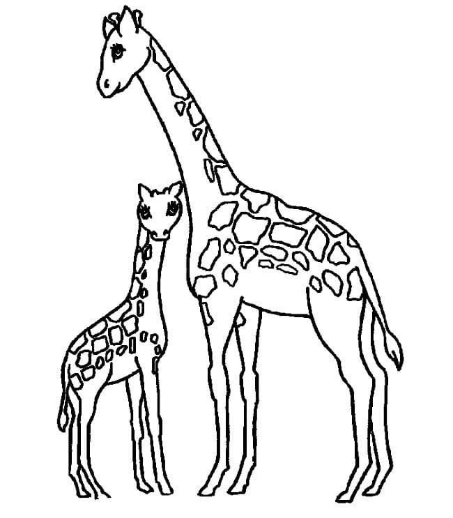 長(zhǎng)頸鹿<a href=http://www.inspiredelm.com/jianbihua/ target=_blank class=infotextkey>簡(jiǎn)筆畫</a>圖片_長(zhǎng)頸鹿兒童繪畫作品圖集
