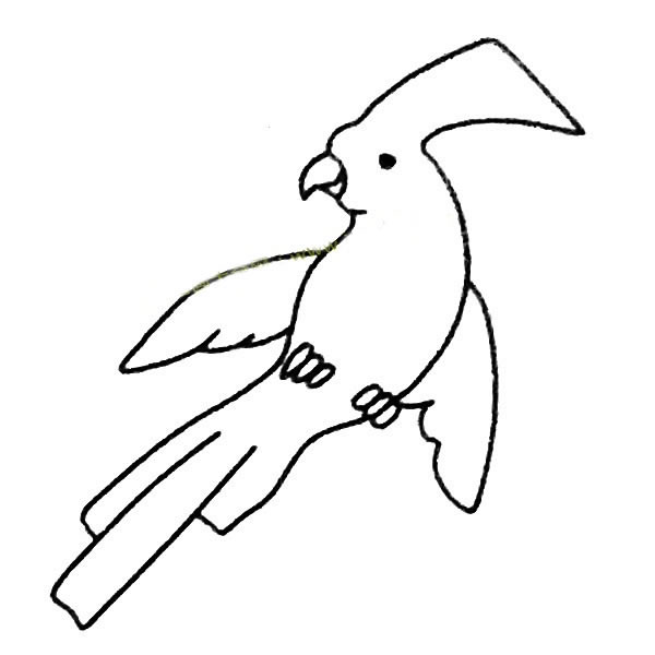 鸚鵡兒童簡筆