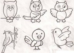 鳥(niǎo)類(lèi)大全簡(jiǎn)筆畫(huà)