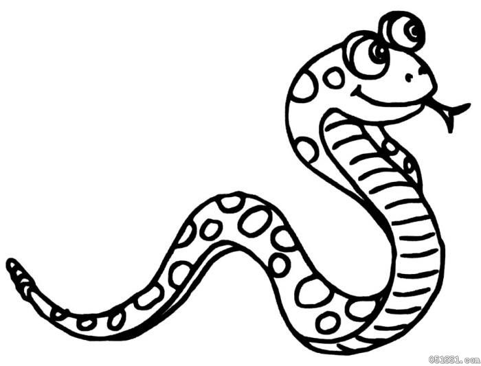 眼鏡蛇<a href=http://www.inspiredelm.com/jianbihua/ target=_blank class=infotextkey>簡(jiǎn)筆畫(huà)</a>