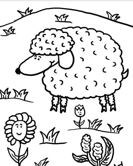 小綿羊動物簡筆