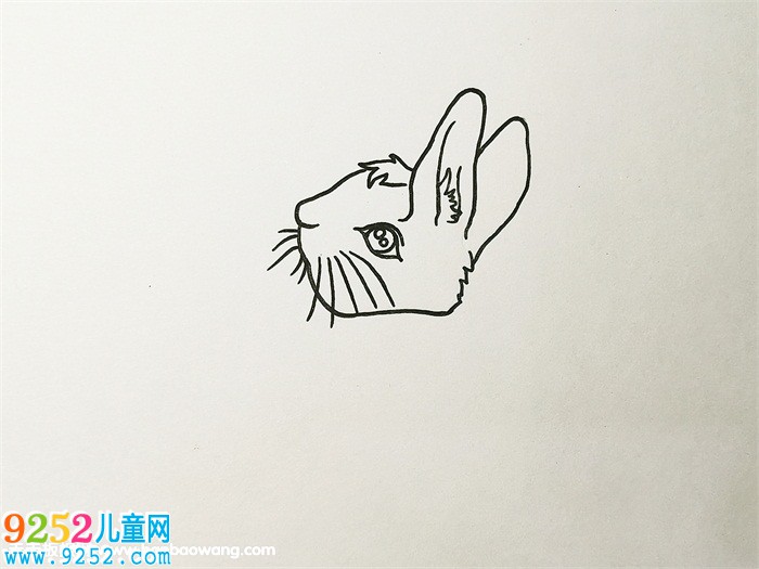 彼得兔<a href=http://www.inspiredelm.com/jianbihua/ target=_blank class=infotextkey>簡筆畫</a>教程