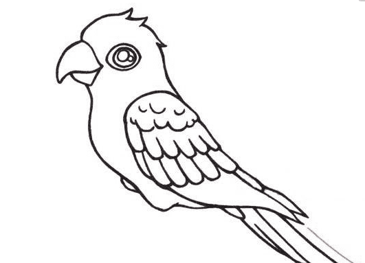 小鸚鵡兒童<a href=http://www.inspiredelm.com/jianbihua/ target=_blank class=infotextkey>簡筆畫</a>