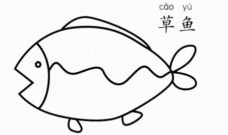 不同品種的小魚簡筆畫