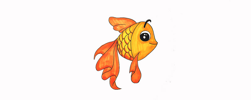 小金魚怎么畫一步一步教
