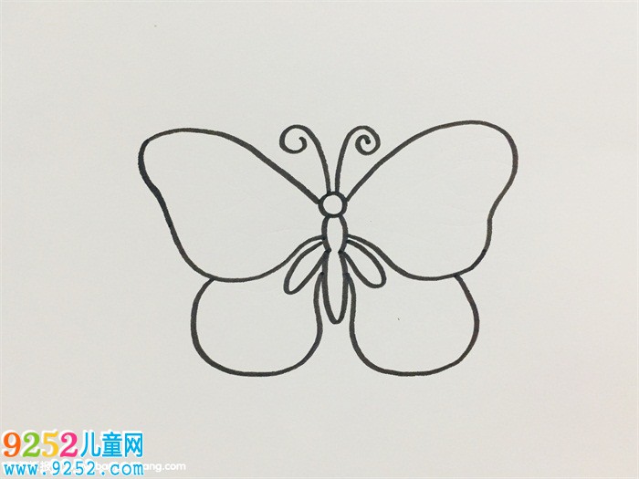 蝴蝶的花紋怎么畫