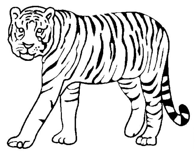 小老虎<a href=http://www.inspiredelm.com/jianbihua/ target=_blank class=infotextkey>簡(jiǎn)筆畫</a>圖片,老虎兒童繪畫作品,動(dòng)物<a href=http://www.inspiredelm.com/jianbihua/ target=_blank class=infotextkey>簡(jiǎn)筆畫</a>,老虎<a href=http://www.inspiredelm.com/jianbihua/ target=_blank class=infotextkey>簡(jiǎn)筆畫</a>