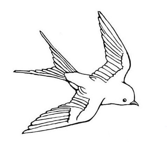 燕子回來(lái)了簡(jiǎn)筆畫