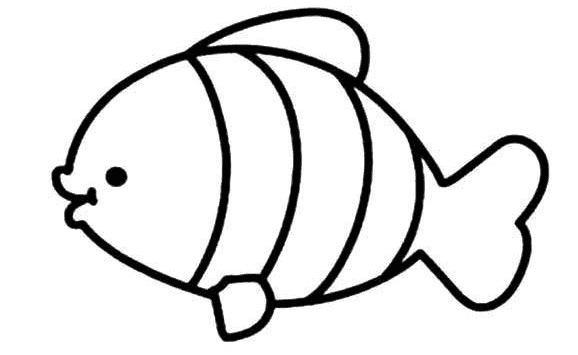 小魚幼兒簡筆畫