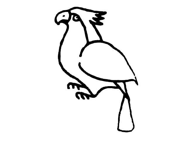 鸚鵡兒童簡筆