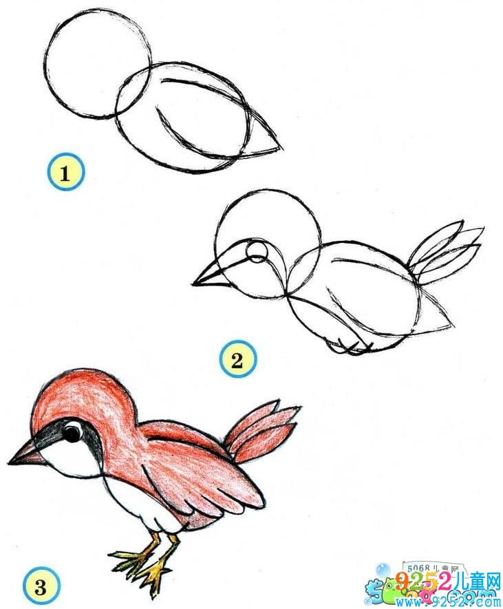 7種小麻雀<a href=http://www.inspiredelm.com/jianbihua/ target=_blank class=infotextkey>簡(jiǎn)筆畫</a>畫法