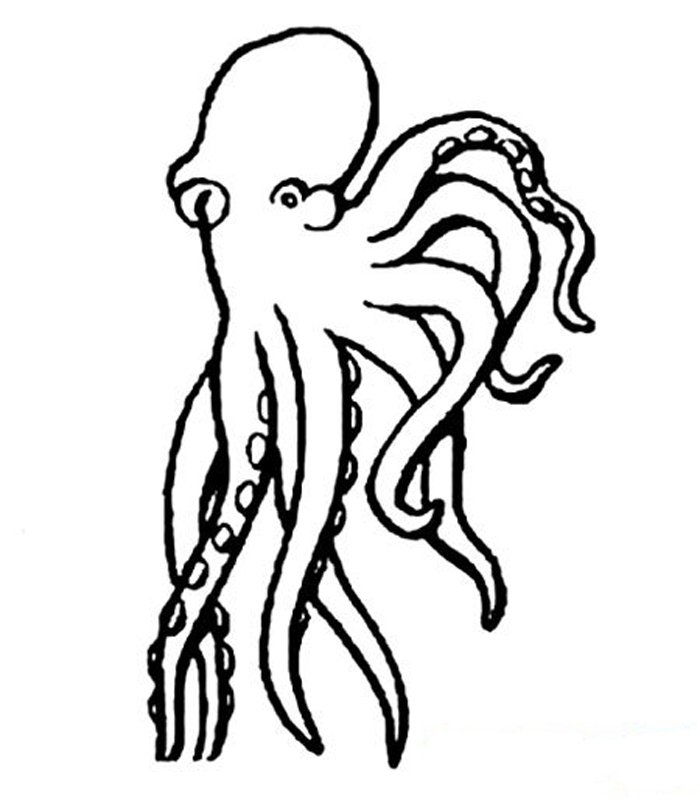 章魚<a href=http://www.inspiredelm.com/jianbihua/ target=_blank class=infotextkey>簡筆畫</a>圖片
