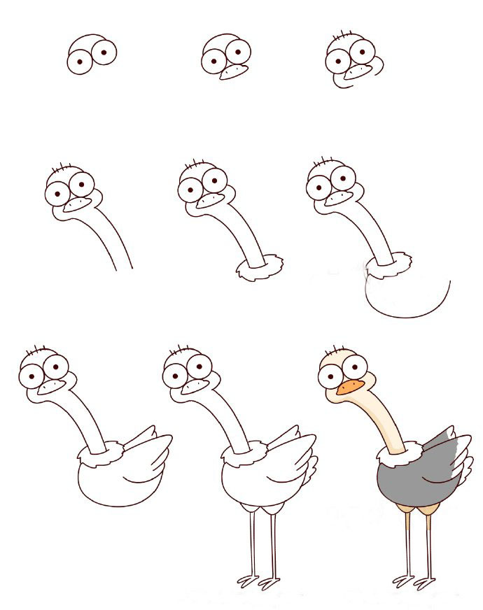 鴕鳥怎么畫<a href=http://www.inspiredelm.com/jianbihua/ target=_blank class=infotextkey>簡筆畫</a>圖片，鴕鳥<a href=http://www.inspiredelm.com/jianbihua/ target=_blank class=infotextkey>簡筆畫</a>步驟