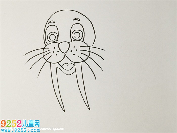 海獅<a href=http://www.inspiredelm.com/jianbihua/ target=_blank class=infotextkey>簡筆畫</a>步驟