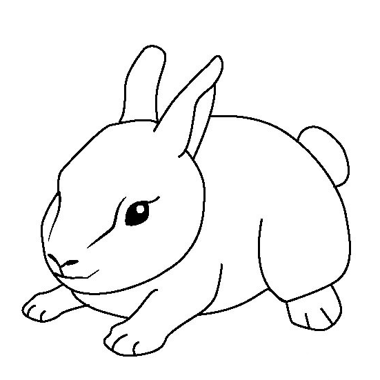 小兔子的簡(jiǎn)筆畫