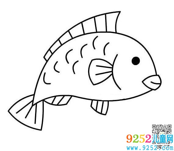 鯉魚動物簡筆