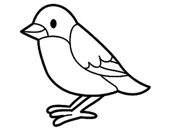 麻雀兒童簡(jiǎn)筆