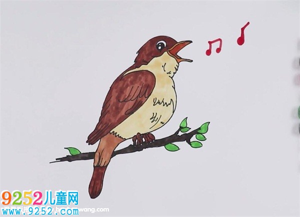 夜鶯<a href=http://www.inspiredelm.com/jianbihua/ target=_blank class=infotextkey>簡筆畫</a>