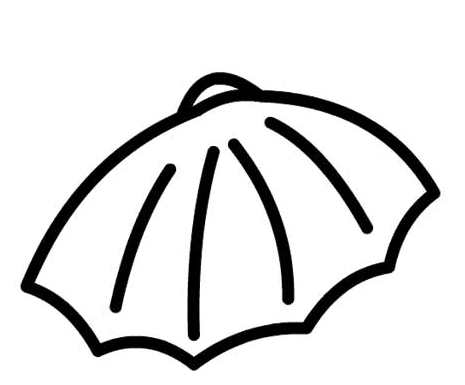 各種漂亮的貝殼簡筆