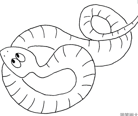 十二生肖蛇動(dòng)物簡(jiǎn)筆