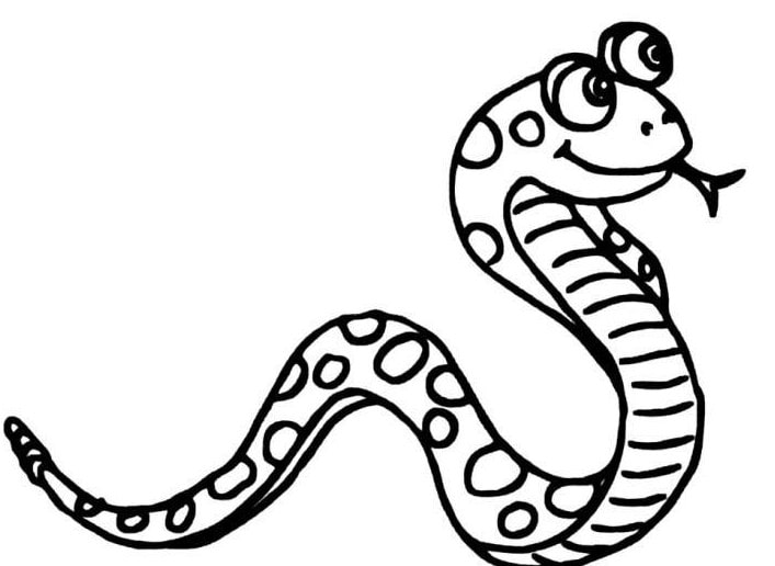 眼鏡蛇動(dòng)物簡(jiǎn)筆