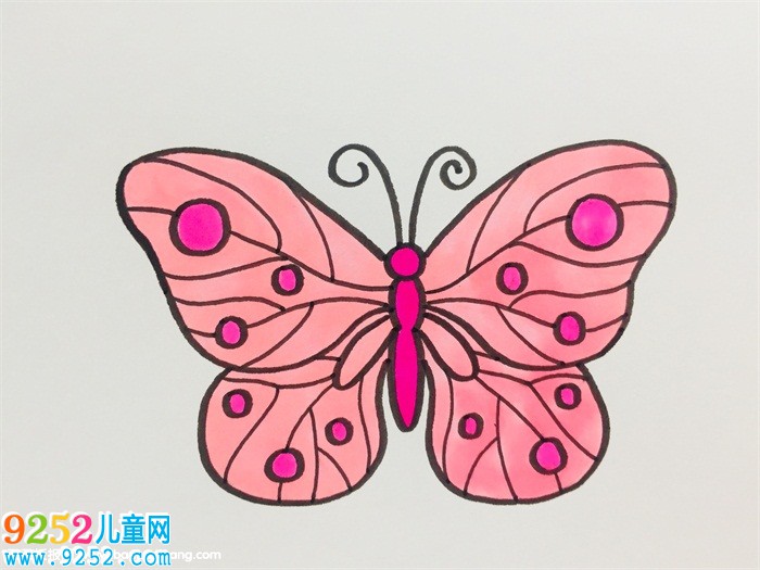 蝴蝶的花紋怎么畫