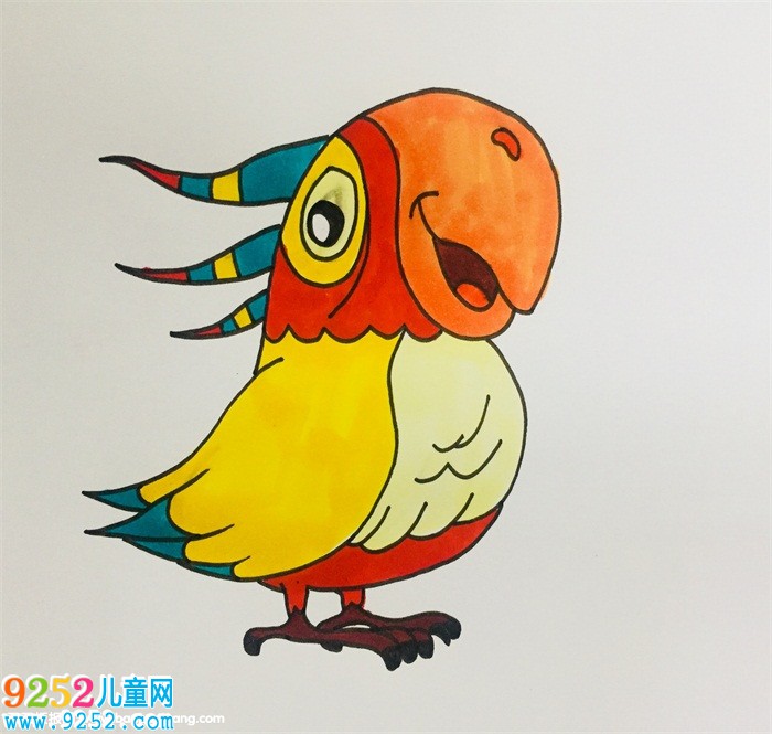 鸚鵡的畫法步驟