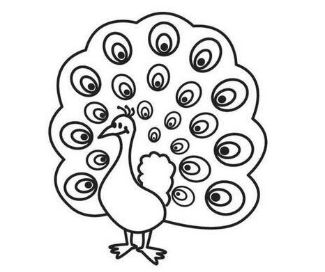 簡(jiǎn)單美麗孔雀開(kāi)屏簡(jiǎn)筆畫(huà)