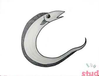 帶魚簡(jiǎn)筆畫
