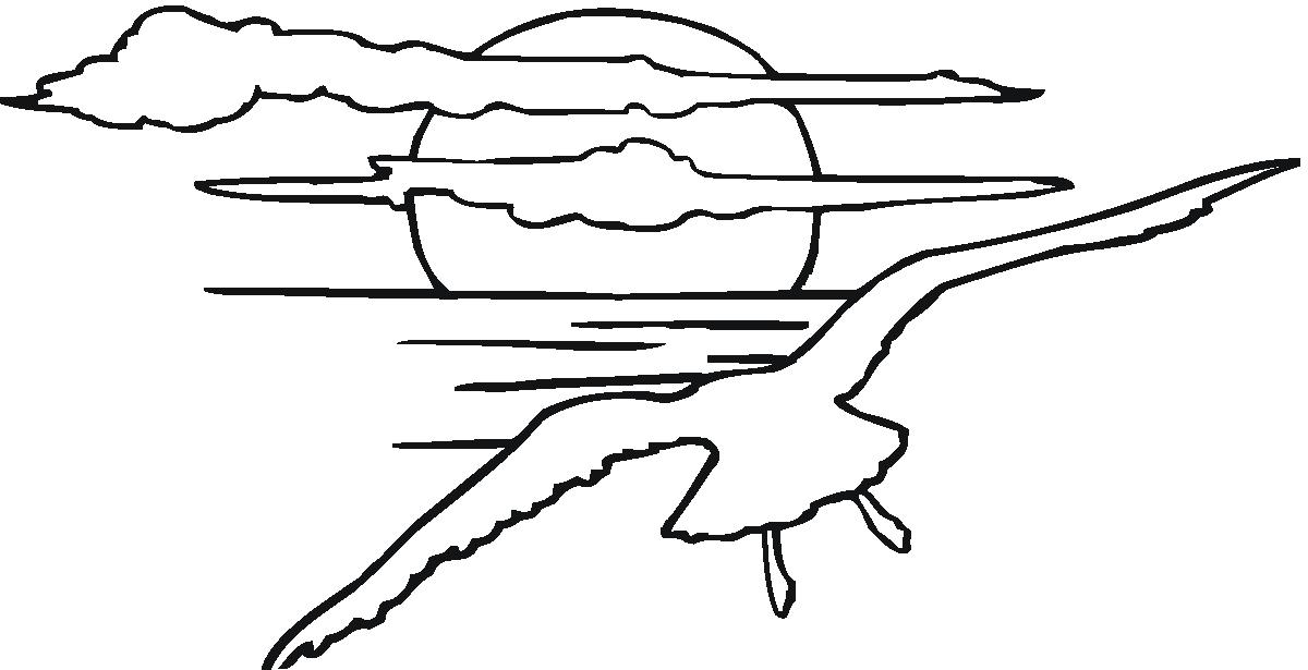 海鷗動(dòng)物簡(jiǎn)筆