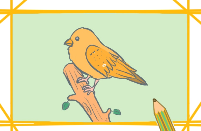漂亮的鳥<a href=http://www.inspiredelm.com/jianbihua/ target=_blank class=infotextkey>簡筆畫</a>圖片怎么畫