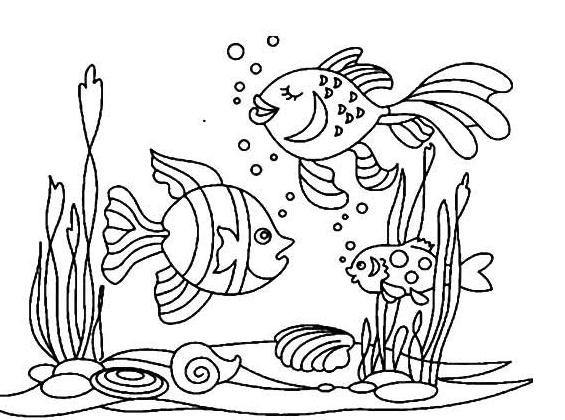 簡(jiǎn)單好看的海洋動(dòng)物簡(jiǎn)筆畫