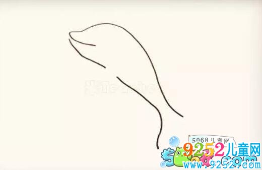 藍色海豚簡筆步驟